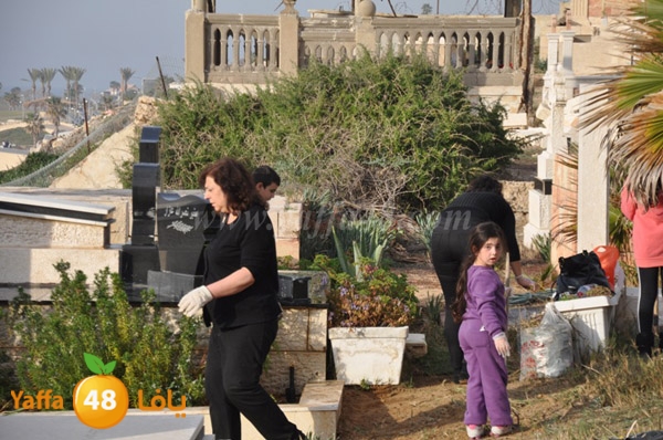 tandef maqbara ortuhdx (18).JPG